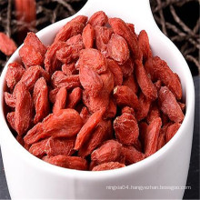 High grade dried Qinghai-Tibet Plateau Goji berry/Chinese Red Goji Berry